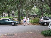 Savannah 003